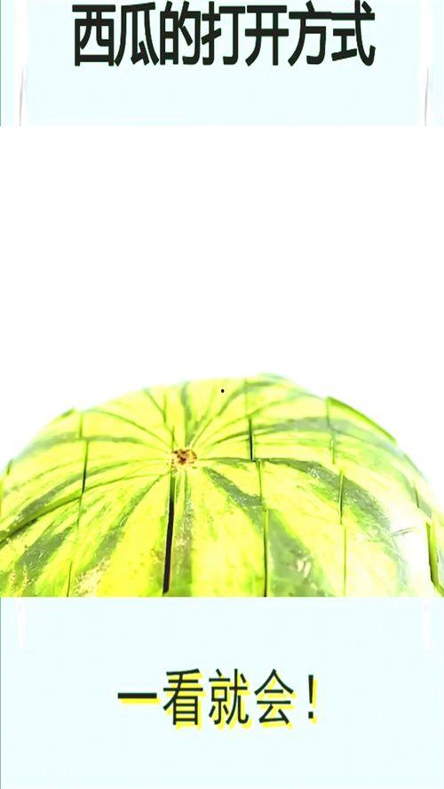 今日开启吃瓜模式是什么,网络热词背后的趣味与思考