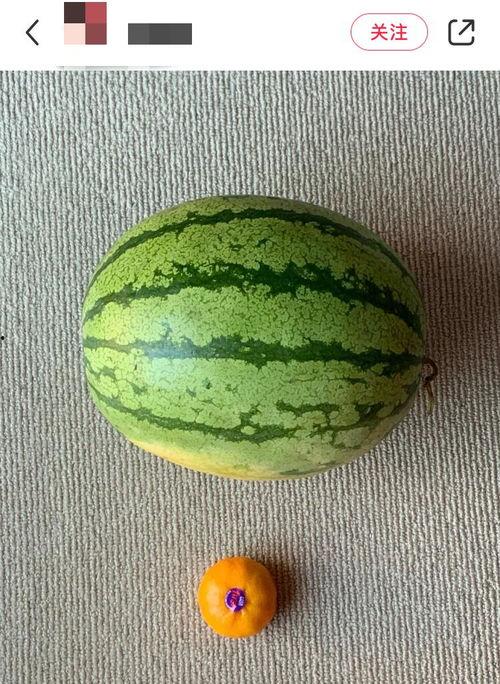 全球吃瓜爆料,揭秘娱乐圈幕后真相