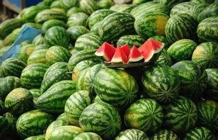 李二萌吃黑瓜什么意思,一场别开生面的美食探险