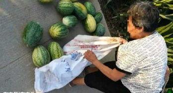 滕州吃瓜最新事件爆料,最新爆料揭示惊人内幕