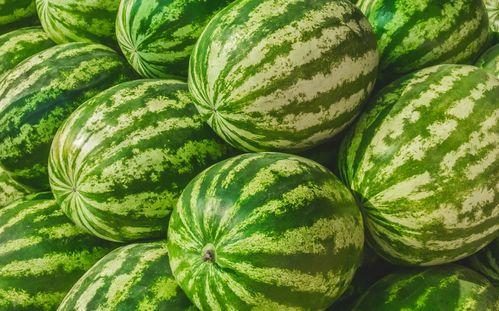 吃瓜今日吃瓜热门大瓜,揭秘吃瓜群众热议的惊天大瓜！