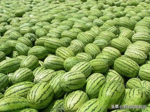 吃瓜今日吃瓜热门大瓜,揭秘吃瓜群众热议的惊天大瓜！