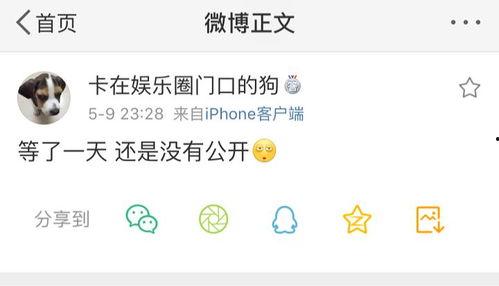 爆料吃瓜的博主,吃瓜博主爆料背后的真相