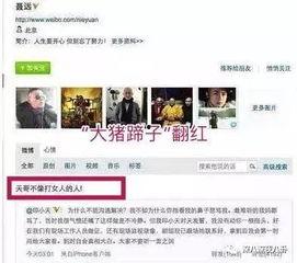 吃瓜网站黑历史是真的吗,真相与谣言的交织