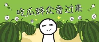 吃瓜爆料暑假要有老朋友,吃瓜爆料热潮再起