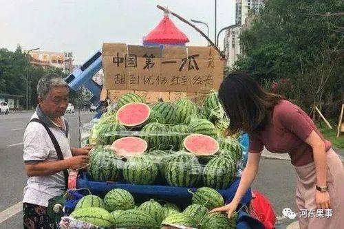 今日瓜干价格,今日市场行情一览”