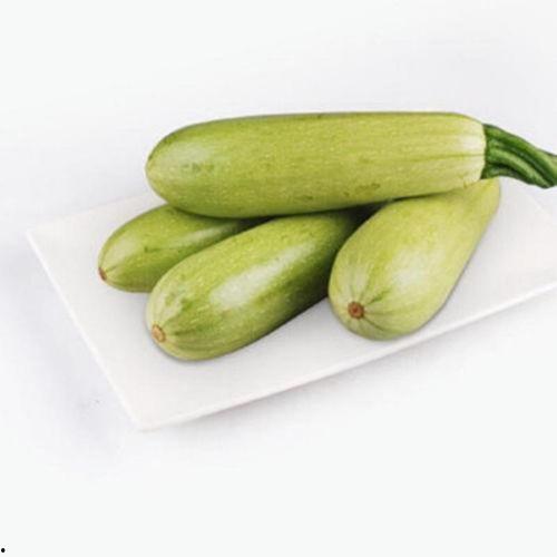四季鲜今日茭瓜价格,新鲜上市，实惠之选”