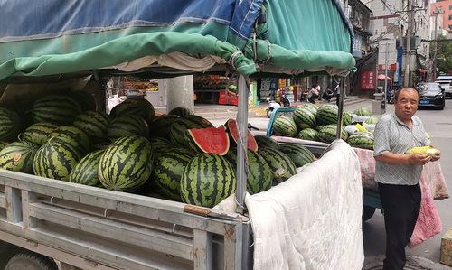 兰州今日瓜价最新消息,今日瓜价行情一览