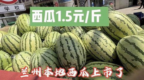 兰州今日瓜价最新消息,今日瓜价行情一览