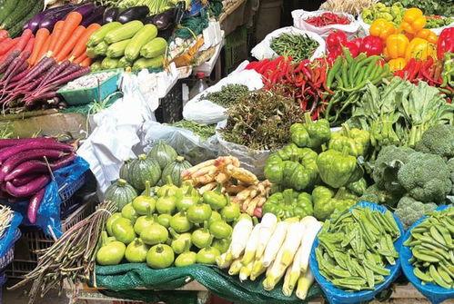小瓜行情昆明今日,今日价格波动及市场动态解析”