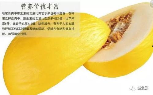 每天吃一个黑蜜瓜,黑蜜瓜的甜蜜生活