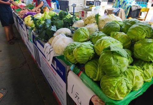 凉瓜今日价格表,凉瓜市场行情动态解析