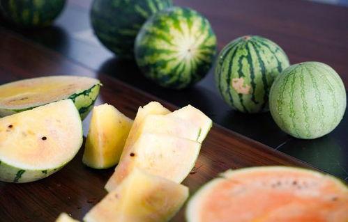 嘉兴小蜜瓜今日行情,甜蜜上市，价格稳中有升