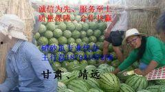 柳州石头瓜今日价格表