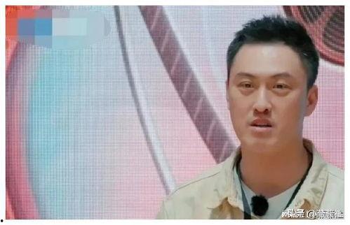 娱乐圈吃瓜爆料剪辑,揭秘明星背后的秘密与真相