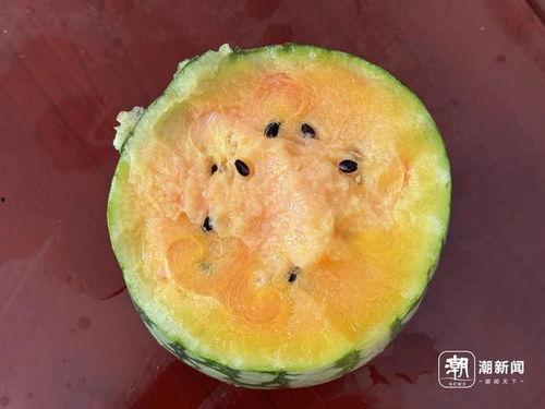 丽水今日吃瓜事件视频播放,网络热议背后的真相揭秘