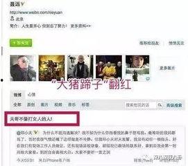 吃瓜网站黑历史是真的吗,真相与谣言的交织