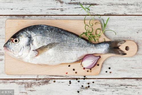 八瓜鱼的黑可以吃吗