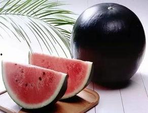 08年的黑粉头子吃瓜,揭秘网络暴力背后的真相