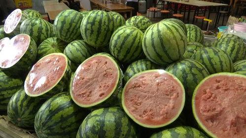 08年的黑粉头子吃瓜,揭秘网络暴力背后的真相